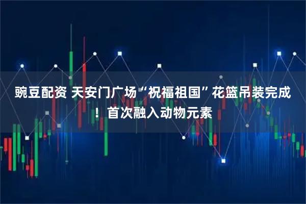 豌豆配资 天安门广场“祝福祖国”花篮吊装完成！首次融入动物元素